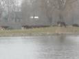 2012-03-24 Oss Doetinchem 744