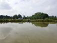 thumbnail_20210704_110753.jpg