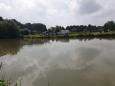 thumbnail_20210704_110821.jpg