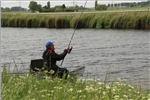 Selectiewedstrijd Feeder 